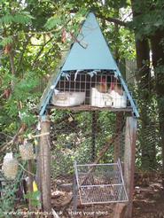 tudor chook house - stewart