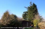 G's Shed - Jo