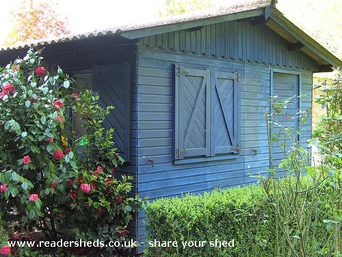 belgium blue shed