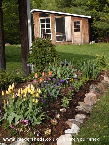SharbotLakeArtStudio - Lynn Shwadchuck