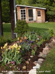 SharbotLakeArtStudio - Lynn Shwadchuck