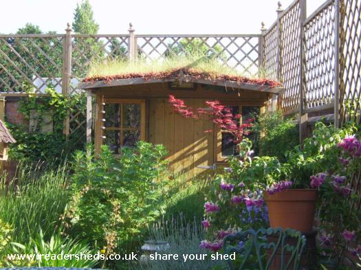 Green Roof Shed