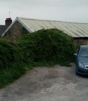 bush shed - Ian