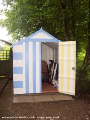 Mums shed - Taz