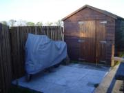 Shed Shed - Tom