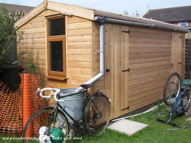 The shedroom - Matthew