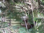 The Shed that Eric forgot - Eric Krevis