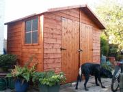 Rob's Cabana - Rob & Dogs