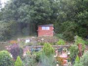 Pant's Shed - Hannah