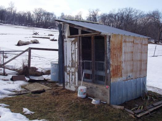 Ugly Chicken Shed, Normal Shed from Wisconsin, USA #shedoftheyear ...