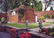 The Shed - Steve