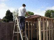 dan shed