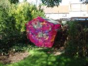 MYSTIC FRED'S PSYCHEDELIC SHED - MYSTIC FRED