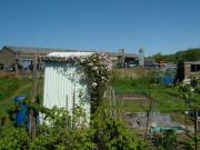 Allotment Shed - Angie