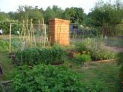 Bellotment - Mark