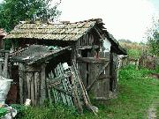 Grannies Shed - Adrian Mann