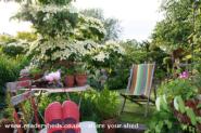 Looking down the garden to my shed