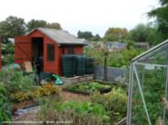Shed in the summer