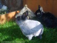some of our guests