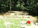 TBA - 