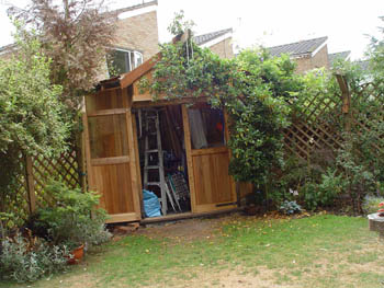 Corrie's Corner - Corrie