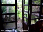 View down the garden