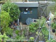 Wood-Be-More Shed - David