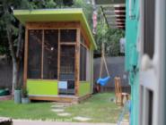 Art Shed - Marty Butler