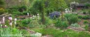Walk throught the veg garden to the chicken shed April