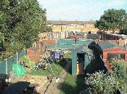 View of garden from upstairs window