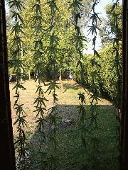 View from Inside