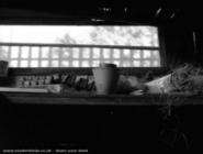 my lovely shed - Mrs Rowe