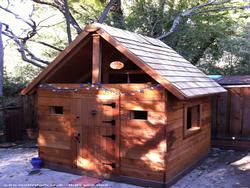 Lexi's playhouse - Dave