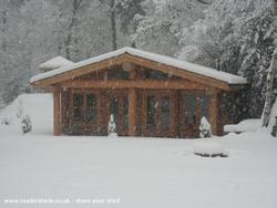Malcolm's Shed - Malcolm MacAdam
