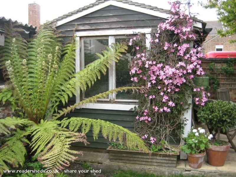 Film Star Shed - David Flack