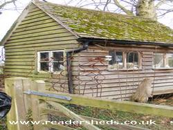 The Wild shed - Jean Jackman