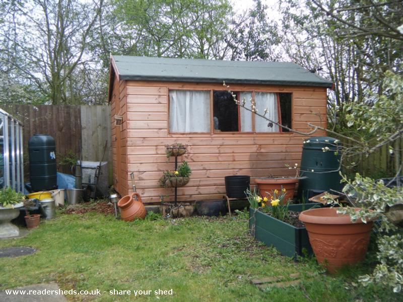 Beach Hut In The Garden, Normal Shed from garden. northampton # ...