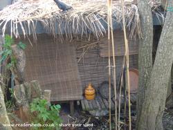 jungle retreat - ian trotman