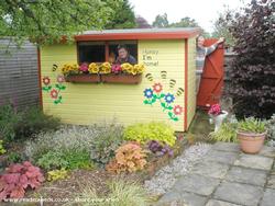 Fantasy shed for eccentrics - Harry Townsend