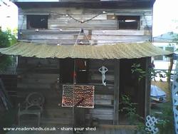 Shed - John Trafny