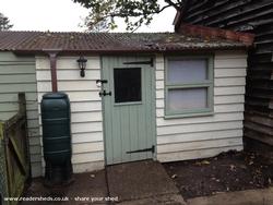 ManShed - Mike