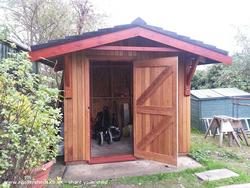 Red cedar apex  - Ross - Garden