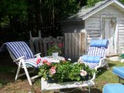 Garden Shed - Vivian Sova