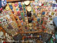 Roof of shed - shead Of Dread, Oxfordshire