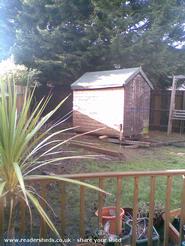 Nearly there . of shed - Goodbye old shed hello new build , 
