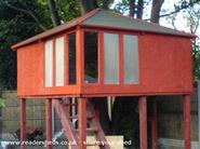 The Tree House of shed - The Tree House, 