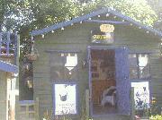 goldies bar, 