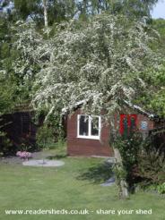 Dad's Fixit Shop /Wendy House/ Chalet: Summertime