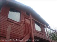 front of shed - Holly Cottage, 