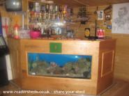The fish tank in the bar ! of shed - Band Camp, 